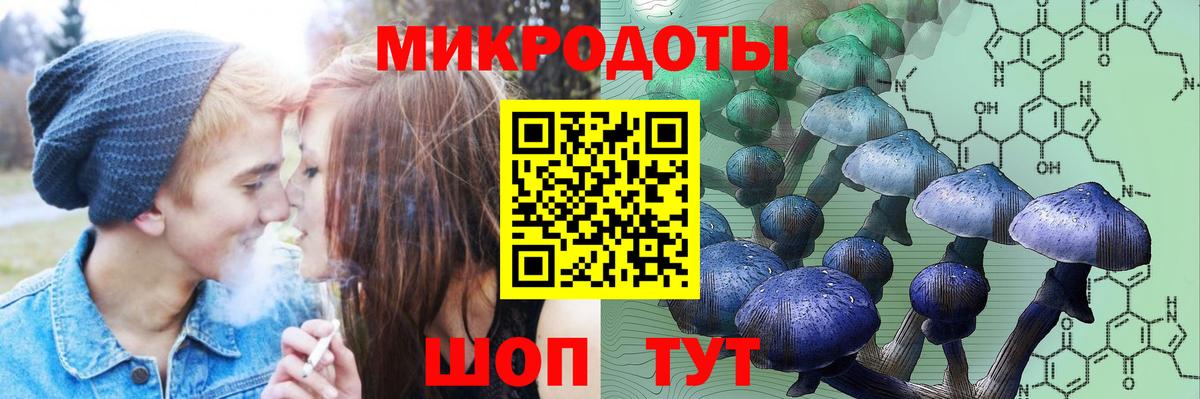 Псилоцибиновые грибы прущие грибы Верхний Уфалей