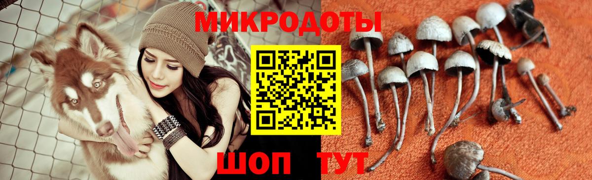 Псилоцибиновые грибы прущие грибы  Псилоцибиновые грибы Magic Shrooms  Верхний Уфалей  Вход с VPN 